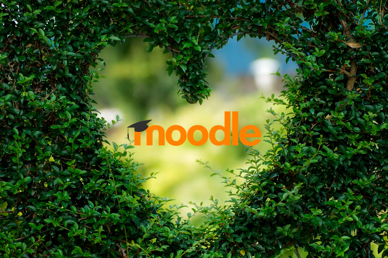 Los imprescindibles de Moodle
