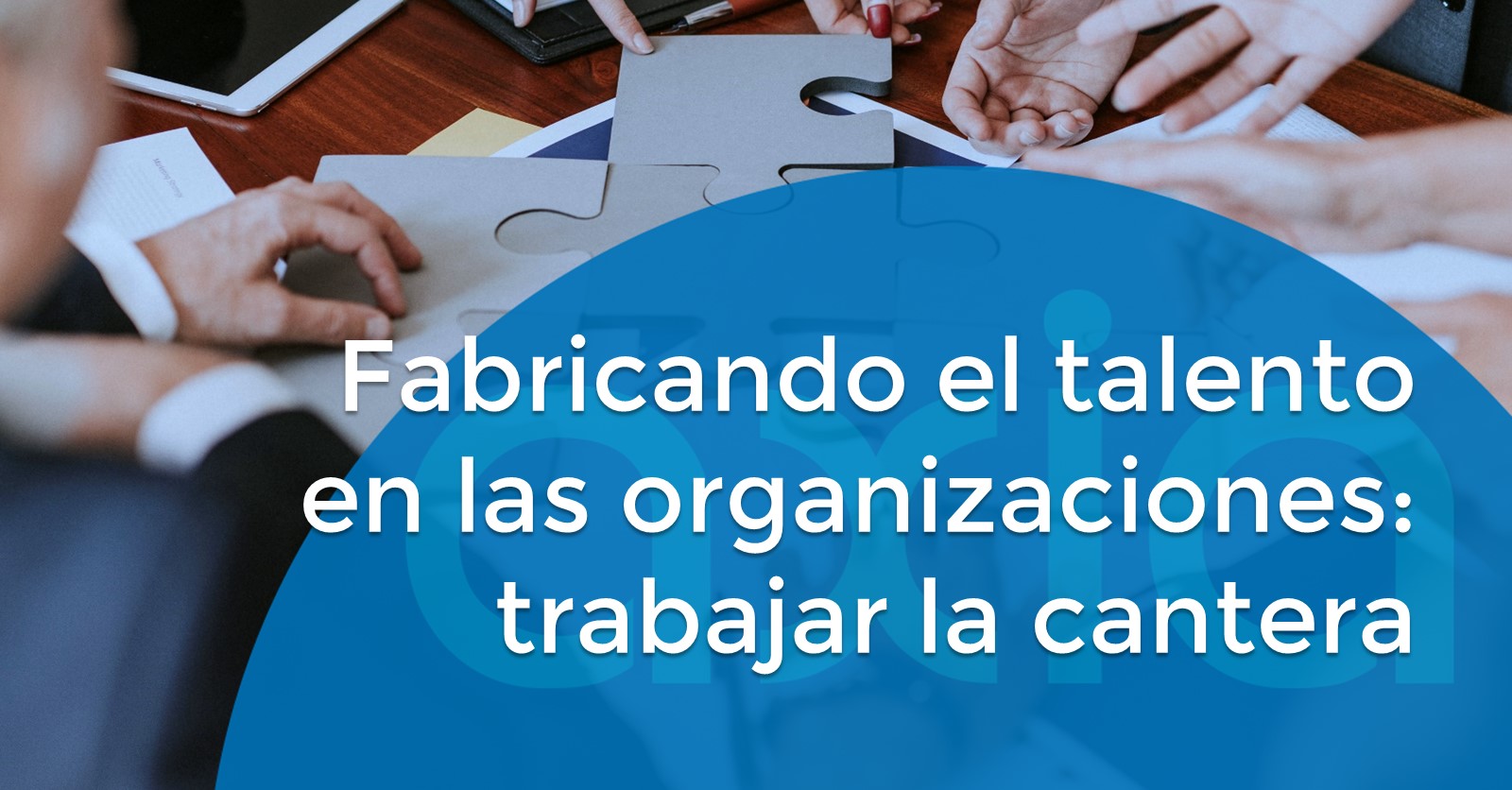 Fabricando el talento en las organizaciones: trabajar la cantera