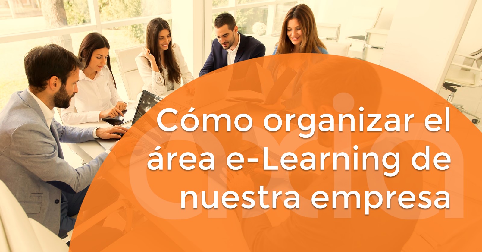 Cómo organizar el área e-Learning de nuestra empresa