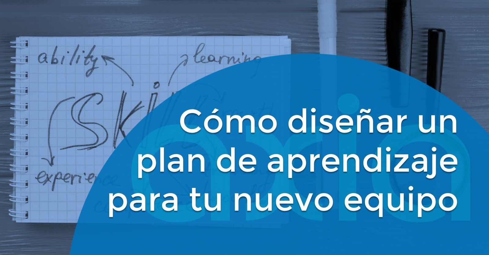 Cómo diseñar un plan de aprendizaje para tu nuevo equipo